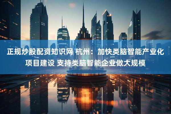 正规炒股配资知识网 杭州：加快类脑智能产业化项目建设 支持类脑智能企业做大规模